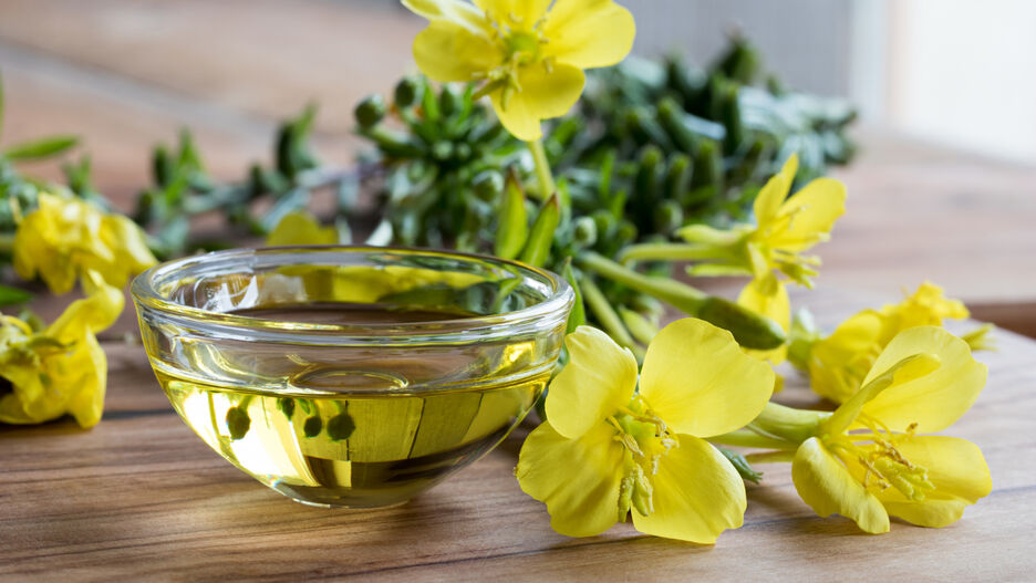Gelbe Blüten der Nachtkerze liegen auf einem Holztisch, mittig steht eine Glasschüssel mit Nachtkerzen-Öl gefüllt.