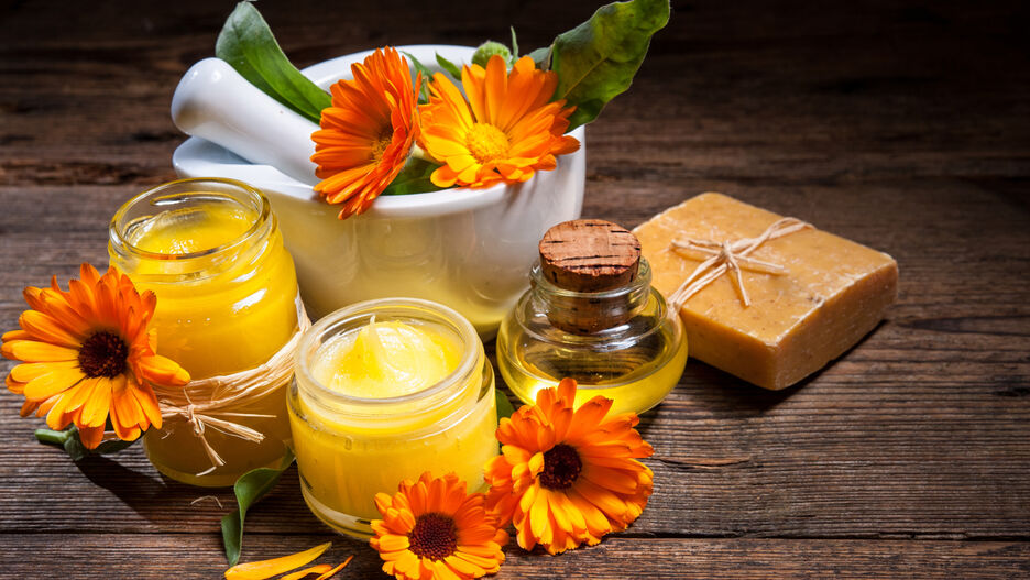 Orangefarbene Gerbera liegen auf einem Holztisch und stecken in einem Morser. Davor befinden sich Glasgläser gefüllt mit Salben, Tinkturen und Cremes der Ringelblume sowie eine Seife.