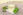 Heilpflanzen Frauenmantel - Frauenmantel - © Shutterstock