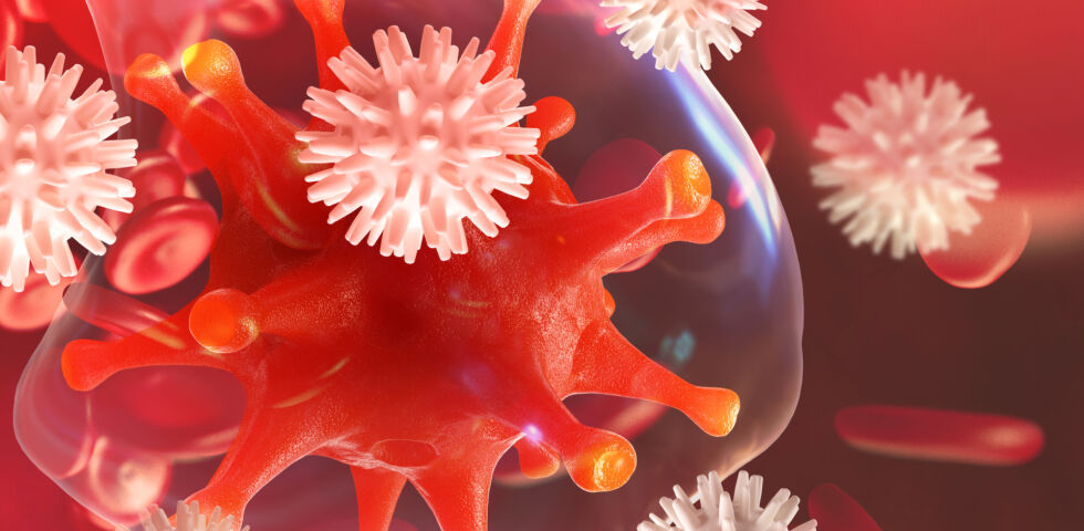 Immunsystem Leukozyten attackieren Virus 2 - © Shutterstock