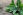 Salbei Heilpflanze - ie Schweißhemmung, die durch Salbei erreicht werden kann, beträgt bis zu 52 Prozent. - © Shutterstock