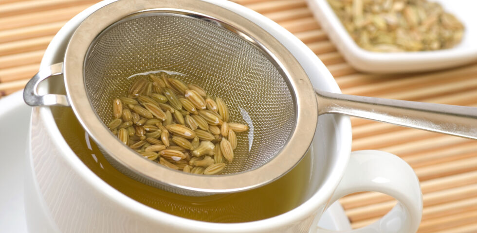 Fenchel Tee Heilpflanze - Fenchel bereichert uns nicht nur als Gemüse, sondern ist auch bei Verdauungsproblemen hilfreich. - © Shutterstock