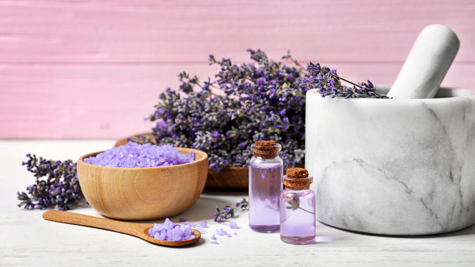 Lavendel Heilpflanze - Lavendel wirkt positiv auf die Psyche und den Schlaf. - © Shutterstock