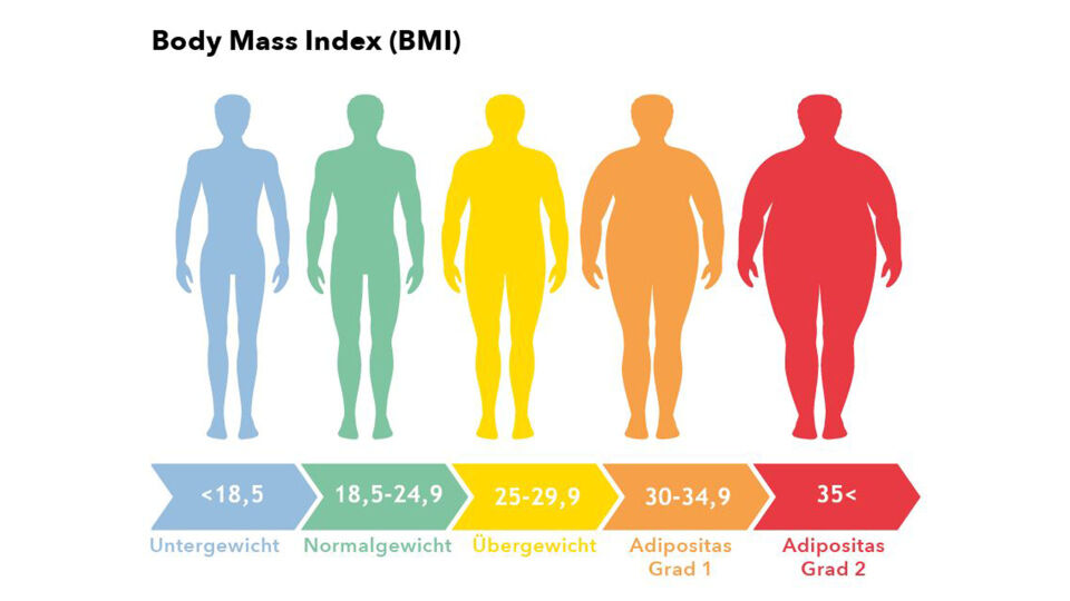 BMI deutsch - © Shutterstock/red