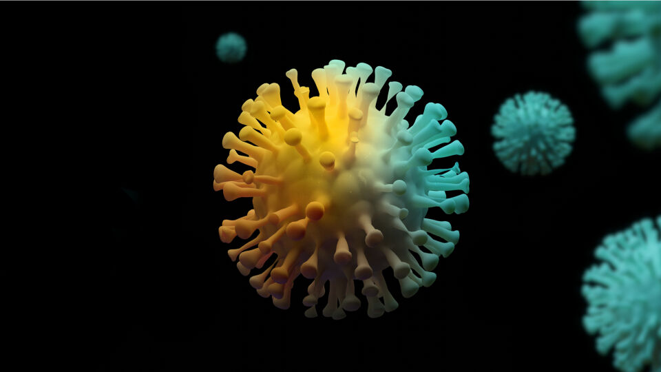 Coronavirus Viren - Viren können sich nur innerhalb von Wirtszellen vermehren. - © Shutterstock