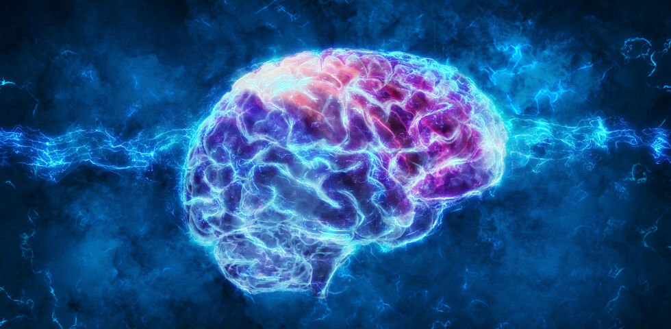 Gehirn - Weltweit leiden 2,8 Millionen Menschen unter Multipler Sklerose. - © Shutterstock