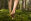 Barfuß Füße - Barfußlaufen tut den Füßen gut. - © Shutterstock