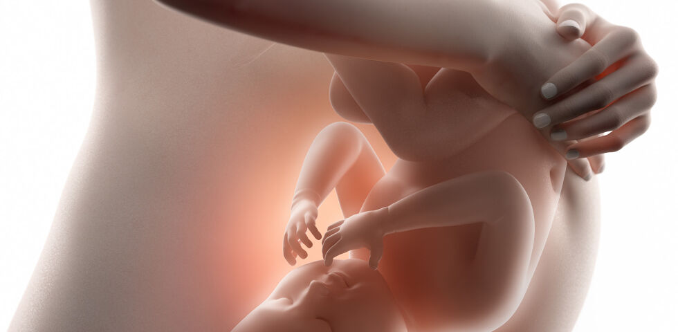Schwangerschaft - Sie können einiges dafür tun, damit sich Ihr Ungeborenes prächtig entwickelt. - © Shutterstock