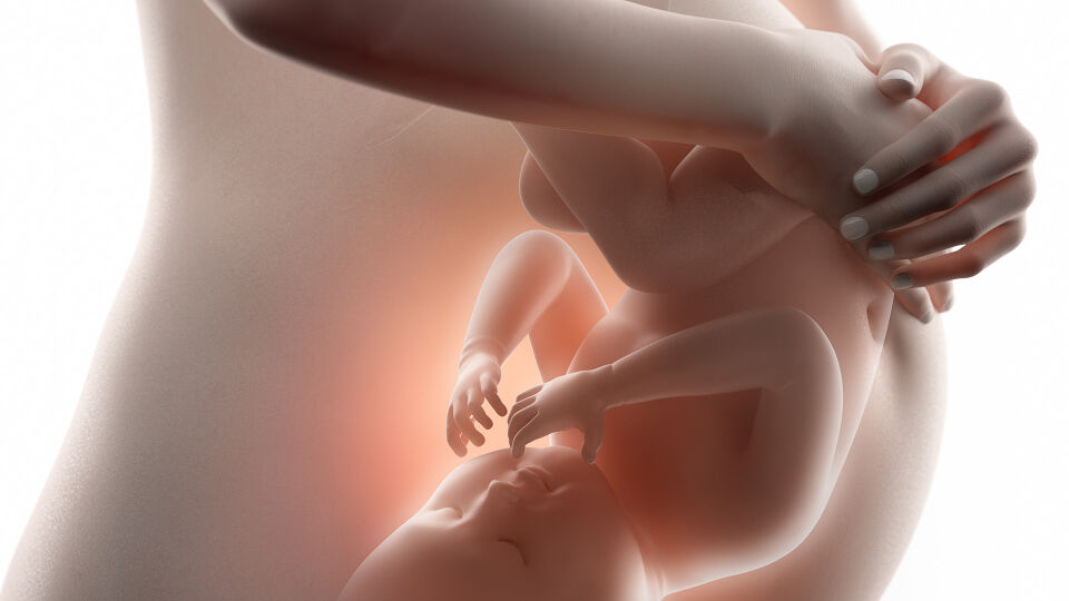Schwangerschaft - Vorübergehende Schwangerschaftsübelkeit wirkt sich nicht auf das Baby aus. - © Shutterstock