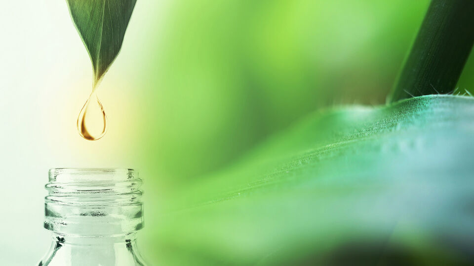 Öle Natürlich Naturheilkunde Heilpflanzen - Ätherische Öle sind hochkonzentrierte Wirkstoffe. - © Shutterstock