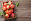 Ernährung Äpfel Fructose - © Shutterstock