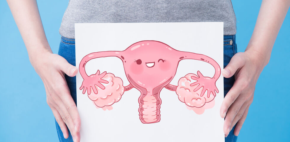 Frau Uterus Hormone Eierstöcke - Das Hormon Östradiol ist für das Zustandekommen einer Schwangerschaft maßgeblich. - © Shutterstock