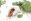 Eichenrinde Heilpflanzen - In der Eichenrinde finden sich zwischen acht und 20 Prozent Gerbstoffe; daher zählt die Eiche zu den gerbstoffreichsten heimischen Heilpflanzen. - © Shutterstock