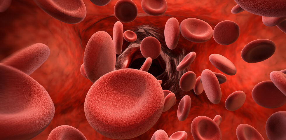 Blut Laborwerte - © Shutterstock