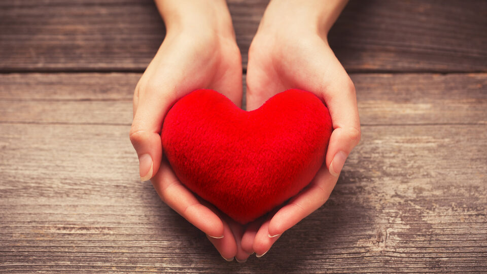 Herz Gesundheit - Schwimmen hat eine positive Wirkung auf unser Herz. - © Shutterstock