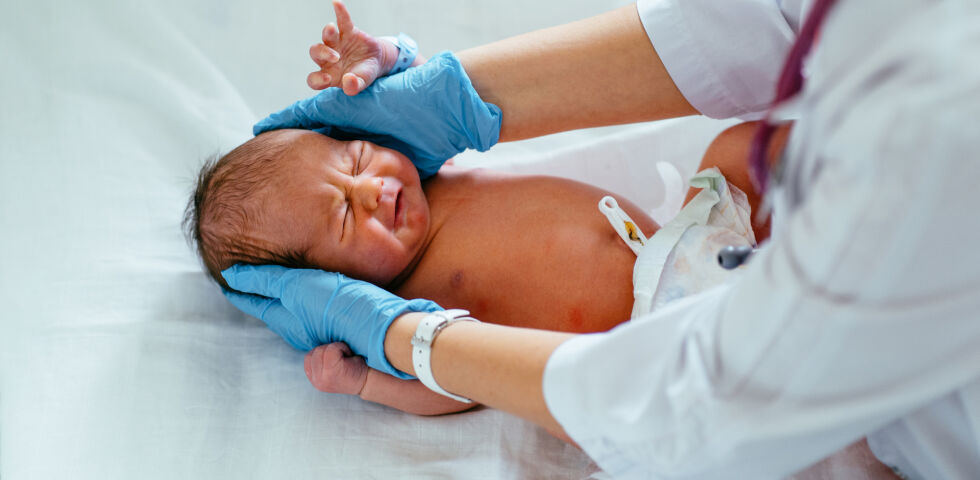 Neugeborenes Baby_Kinder_shutterstock_2059112735 - In Österreich wird beim Neugeborenen-Screening auf AGS-Formen geachtet.