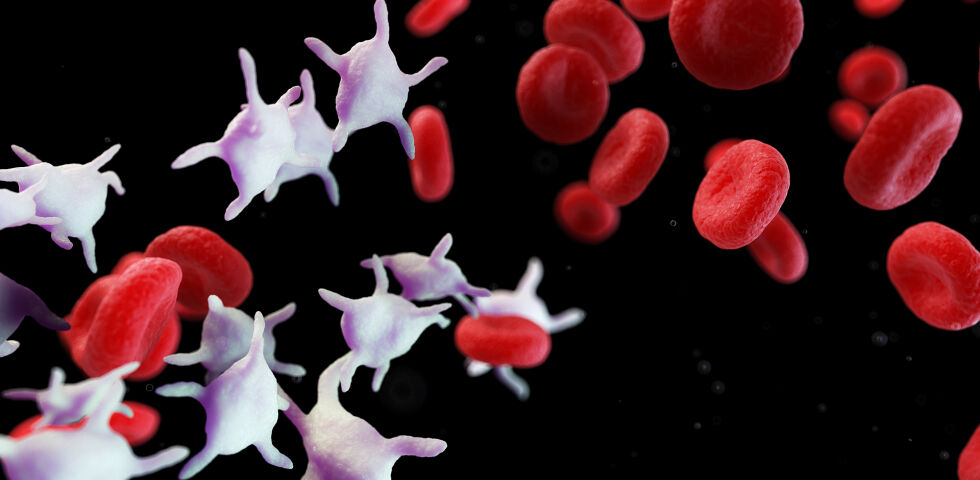 Thrombozyten Blutplättchen Laborwerte - © Shutterstock