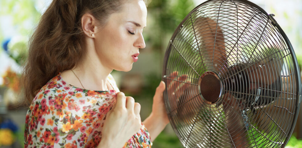 Hitze_shutterstock_1777514243 - Sommerliche Temperaturen jenseits der 30-Grad-Marke sind anstrengend für den Körper. - © Shutterstock
